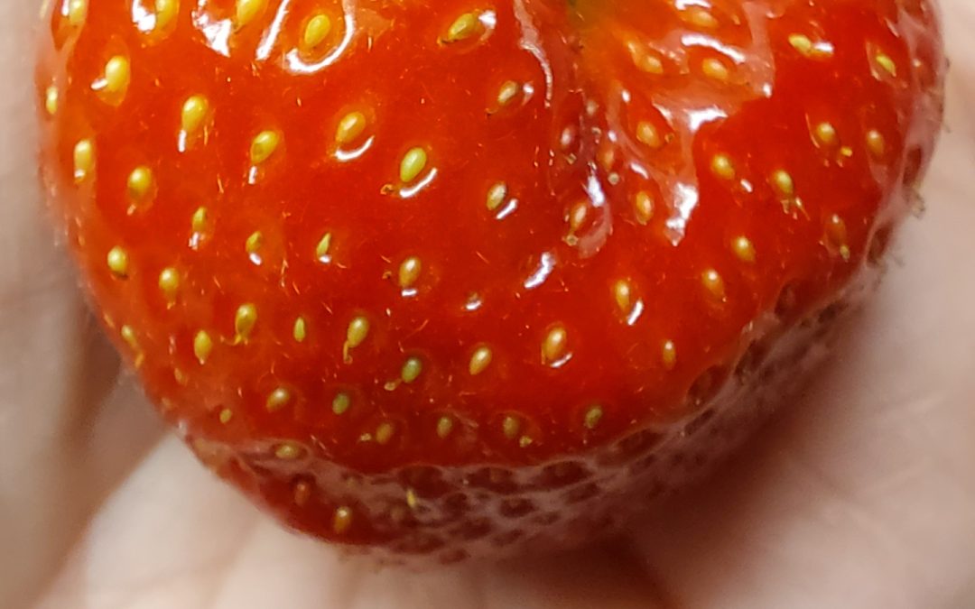 Annekedote over de aardbei